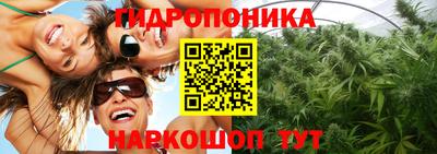 Альфа ПВП Лесосибирск