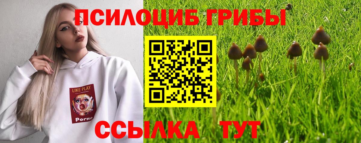 Псилоцибиновые грибы ЛСД Ирбит