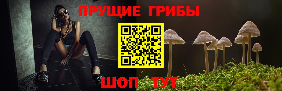 Ирбит  Галлюциногенные грибы Psilocybe  Вход с VPN  Псилоцибиновые грибы Psilocybe 